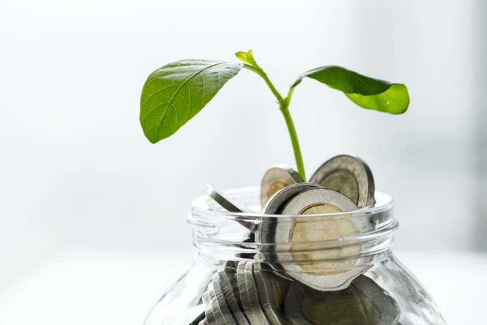 coins in a jar and a plant growing