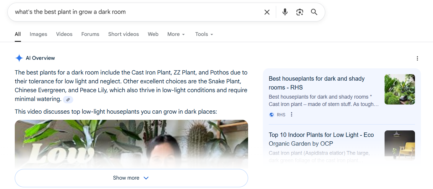 example of AI Overview