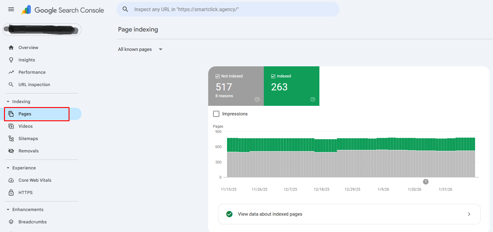 Google Search Console showing indexing pages.